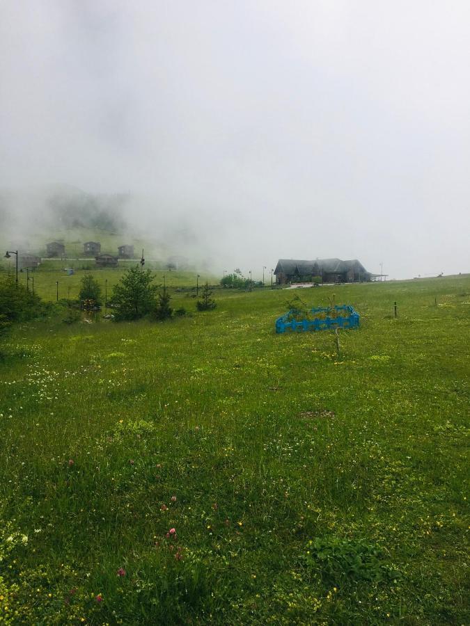 Birun Dag Evi