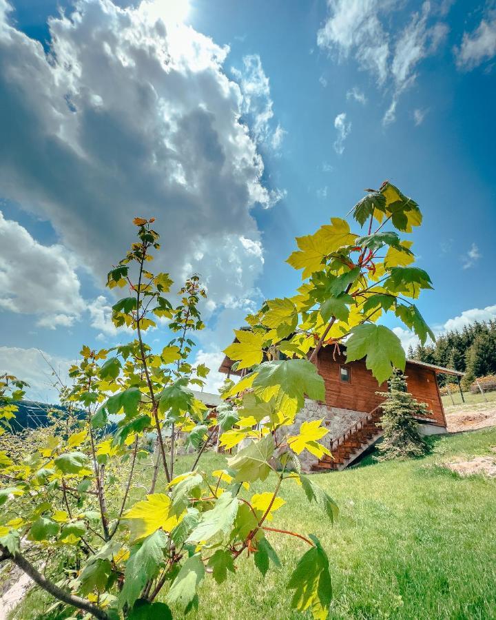 Birun Dag Evi Chalet *