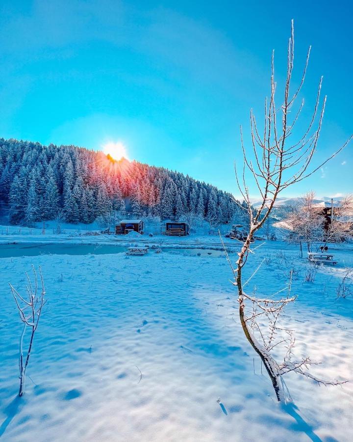 Dag Evi Chalet *