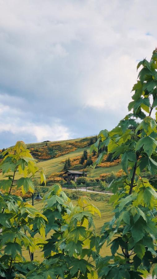 Birun Dag Evi Kumbet