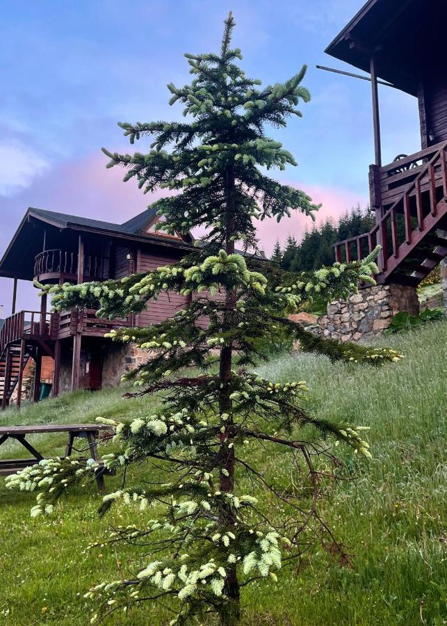 Chalet Birun Dag Evi